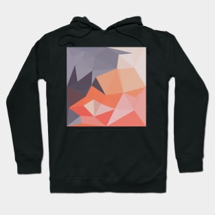 Atomic Tangerine Orange Abstract Low Polygon Background Hoodie